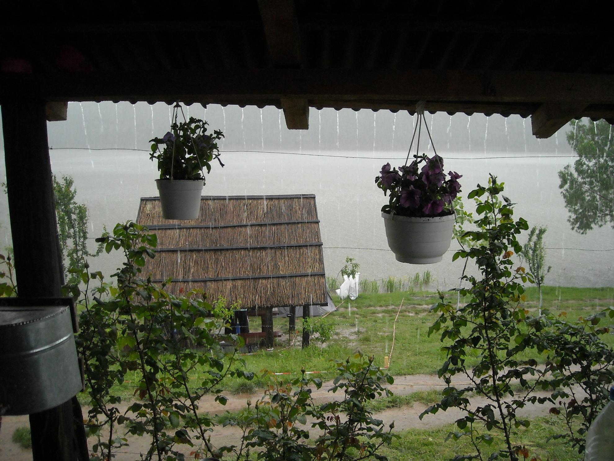 CN-2010-Cetariu - dscn3476.jpg